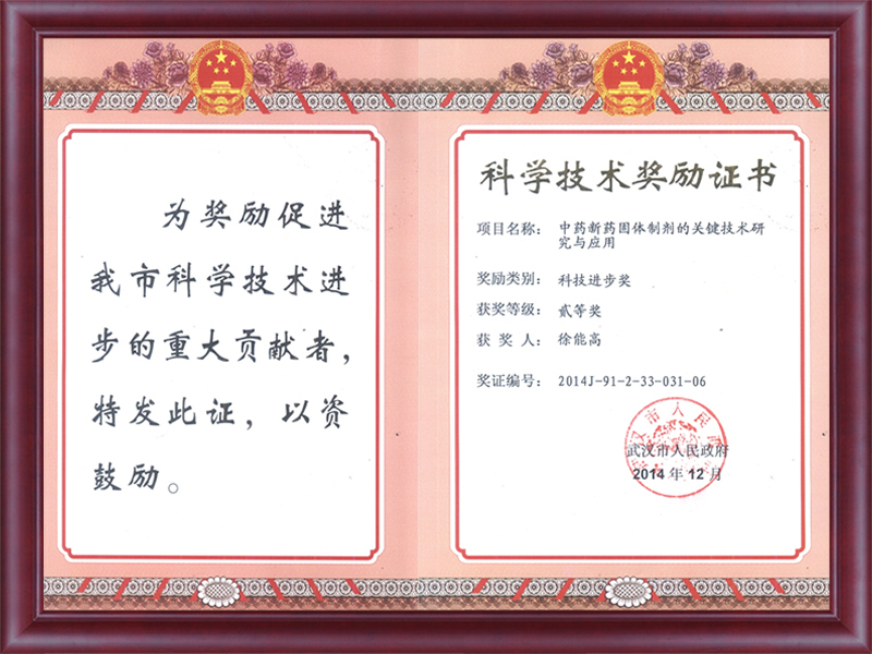  市級“科技進步獎”（2）